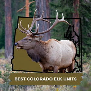 Best Colorado GMU for Elk