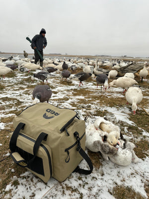Goose Hunting Field of Decoys