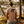Load image into Gallery viewer, Bird Dog T-Shirt
