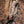 Load image into Gallery viewer, Buck Hoodie