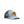 Load image into Gallery viewer, Pointer Dog Patch Hat