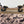 Load image into Gallery viewer, Camo Neoprene Hand Warmer Muff Waterproof Windproof