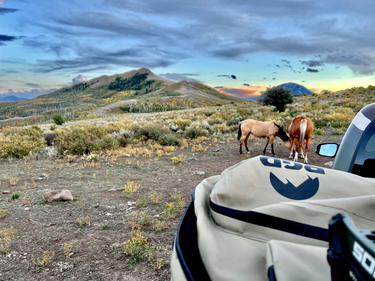 Compound bow hard case vs. soft case which is best? RUGID