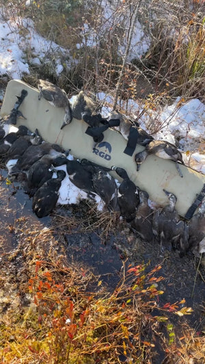 Ducks next to RGD Waterproof Shotgun Case