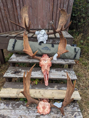 European mount style moose racks with RGD gun case