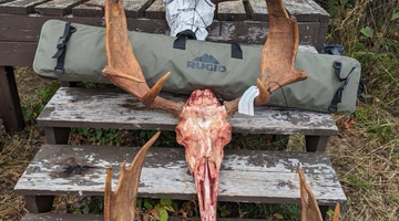 European mount style moose racks with RGD gun case