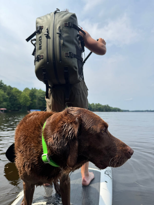 Lab and RGD Vertipack on Paddleboard